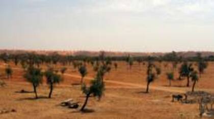 El Sahel es la zona de transición, que atraviesa África, entre el desierto del Sahara y la sabana sudanesa