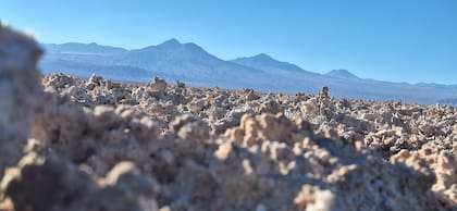 El Salar de Atacama, una de las principales atracciones turísticas en Antofagasta