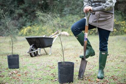 El salario de los caseros en abril de 2025