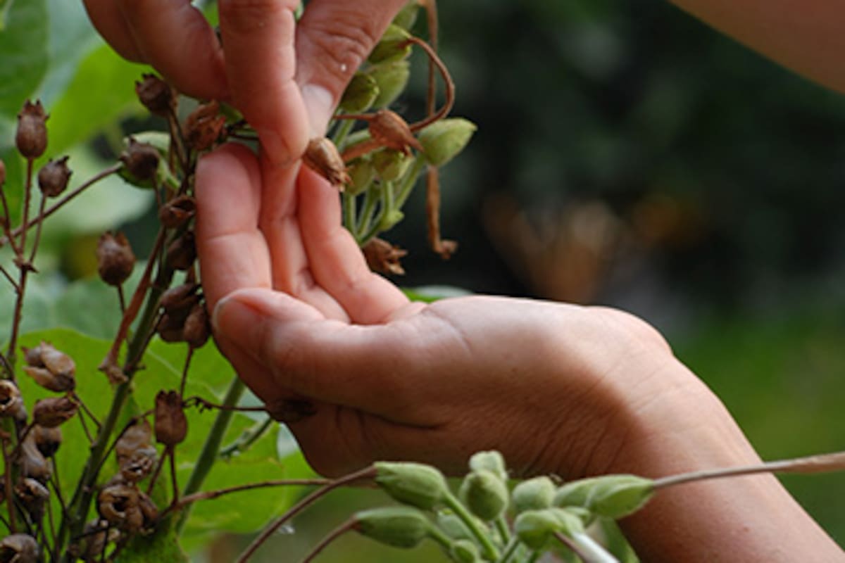 El salario de los caseros para septiembre de 2024