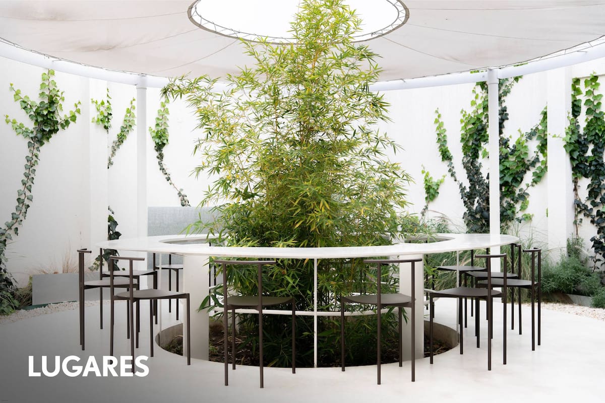 El salón con barra circular y plantas