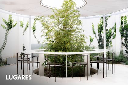 El salón con barra circular y plantas