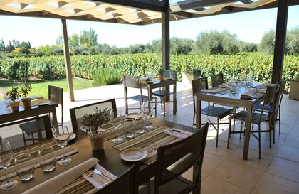 El salón de Maris, rodeado de las vides de Malbec.