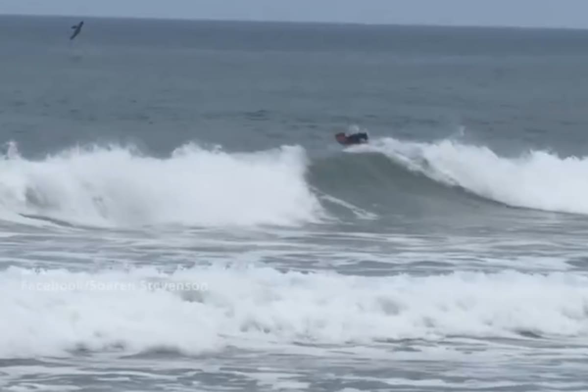 El salto del tiburón sorprendió a todos