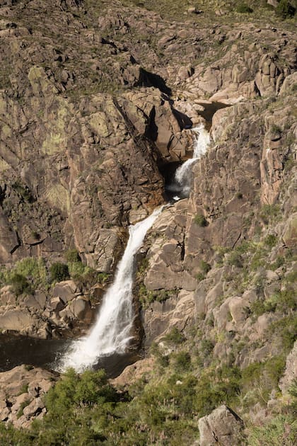 El salto está rodeado de durazneros.