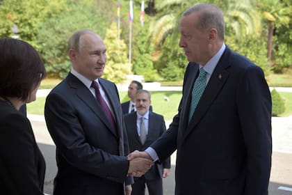 El saludo de Putin y Erdogan en Sochi