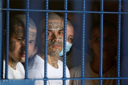 Las pandillas rivales Barrio 18 y Mara Salvatrucha, con unos 70.000 miembros, siembran el terror en comunidades bajo su control