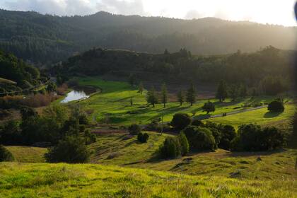 El San Geronimo Commons, San Francisco, un antiguo campo de golf que se está permitiendo que vuelva a la naturaleza para ser utilizado como un espacio público para caminar y hacer senderismo.
