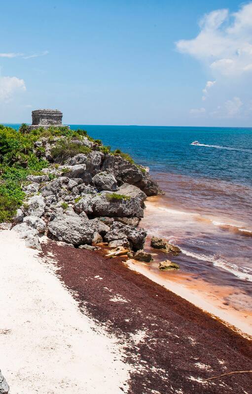El sargazo llegó hasta las ruinas de Tulum