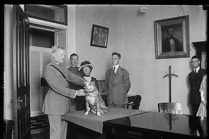 El sargento Stubby junto al general John J. Pershing, más conocido como Black Jack