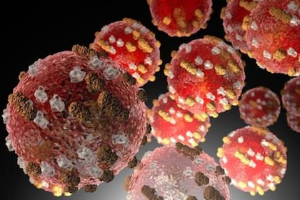 El sarmpión, el dengue y el covid-19 son causadas por virus y presentan síntomas similares