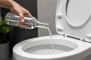 El sarro en el inodoro es uno de los problemas más comunes en la limpieza del hogar