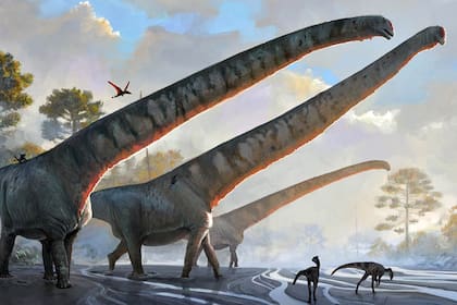 El saurópodo Mamenchisaurus sinocanadorum sobresalía por encima de otros dinosaurios, con un cuello de 15 metros de largo