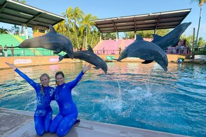 El Seaquarium de Miami enfrenta una orden de desalojo por parte del condado de Miami-Dade