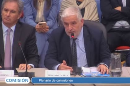 El secretario de Agricultura, Fernando Vilella, en el Congreso
