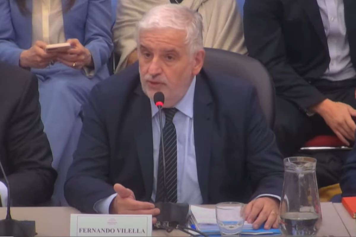 El secretario de Agricultura, Fernando Vilella, en el Congreso