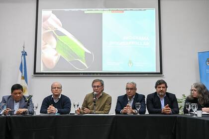 El secretario de Agricultura, Juan José Bahillo, habla durante la presentación del programa