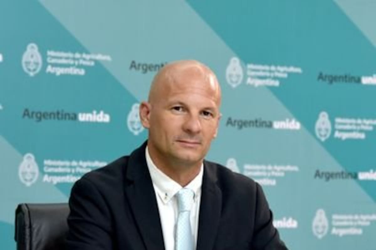 El secretario de Agricultura, Matías Lestani