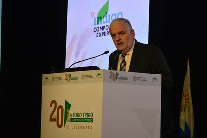 El secretario de Bioeconomía, Fernando Vilella, durante el discurso de apertura del Congreso A Todo Trigo que se realiza en la ciudad de Mar del Plata