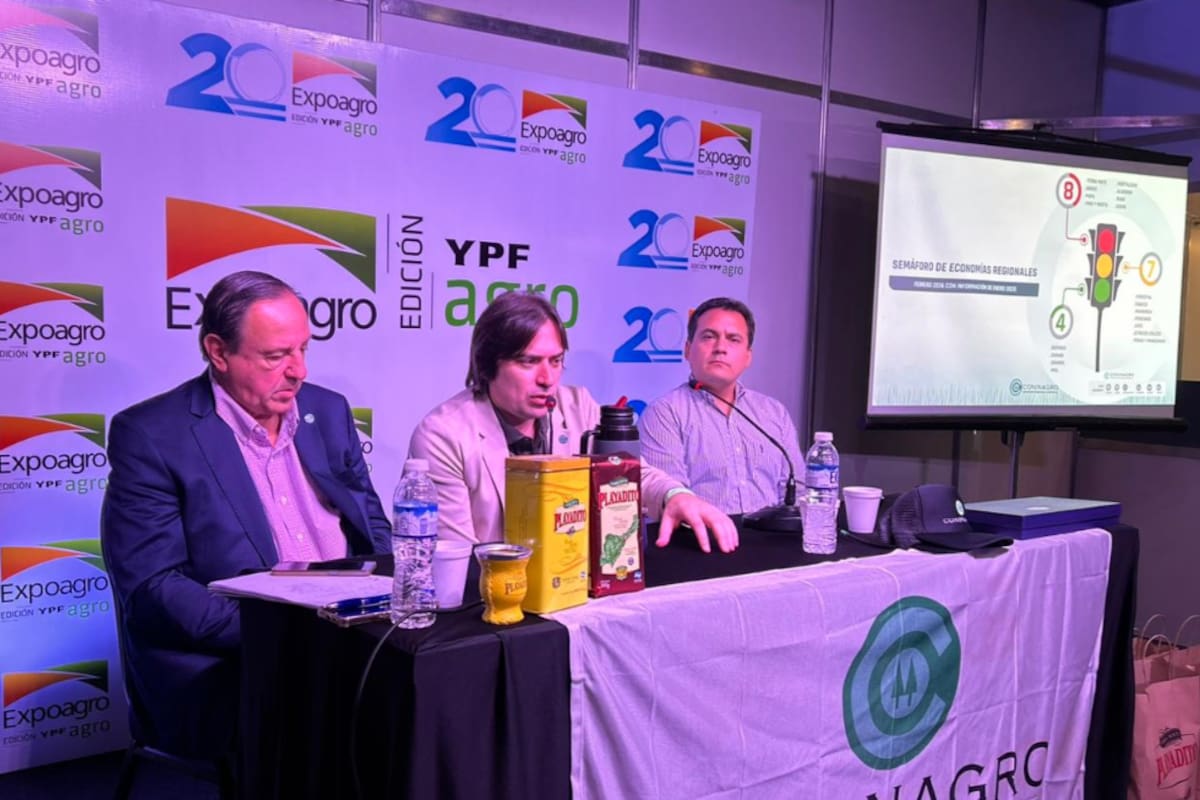 El secretario de Coninagro, Mario Raiteri; el presidente de la entidad, Lucas Magnano jy el economista David Miazzo