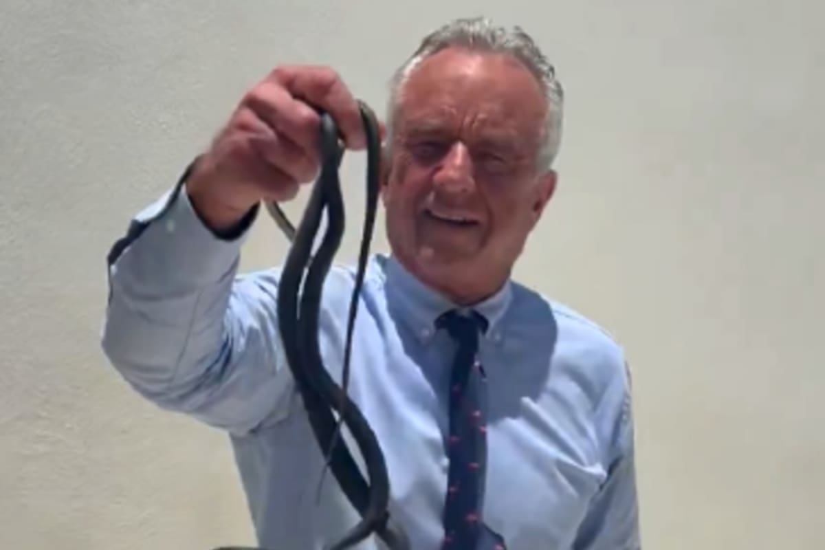 El secretario de Salud de Estados Unidos, Robert F. Kennedy Jr., se volvió viral tras publicar un video en el que aparece capturando dos serpientes en el patio de una vivienda