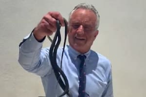 El secretario de Salud de Estados Unidos, Robert F. Kennedy Jr., se volvió viral tras publicar un video en el que aparece capturando dos serpientes en el patio de una vivienda