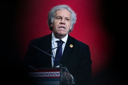 El secretario general de la OEA, Luis Almagro, en Lima, en 2022. (AP/Guadalupe Pardo, File)