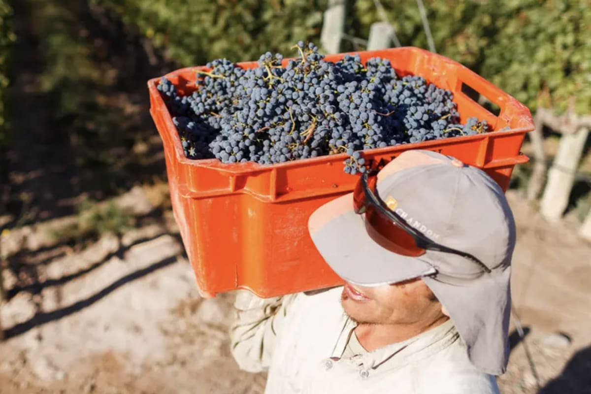 El Secretario General de Uatre, José Voytenco, reclamo el bono de $15 mil para s trabajadores rurales