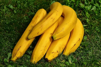 El secreto está en guardar las bananas en un lugar donde no estén en contacto con la luz solar