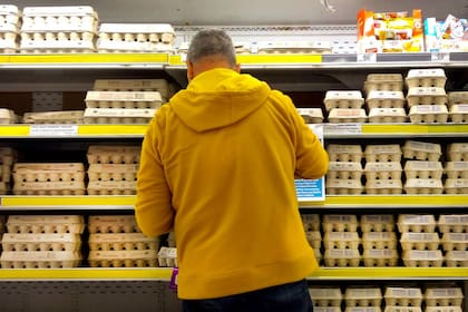 El sector avícola advierte que si no hay una respuesta de manera inmediata por parte del Gobierno, habrá desabastecimiento de huevo fresco en las góndolas en menos de 20 días