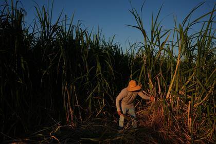 El sector agrícola afronta una crisis en las importaciones que amenaza la economía de Illinois, según Pritzker
