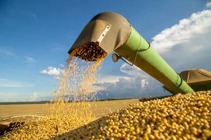 El sector agroexportador ingresó US$2524 millones en abril