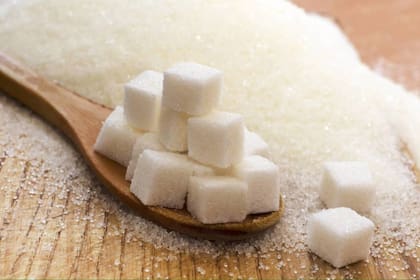 El sector azucarero objetó la derogación de una ley sobre aranceles de importación y los cambios en biocombustibles