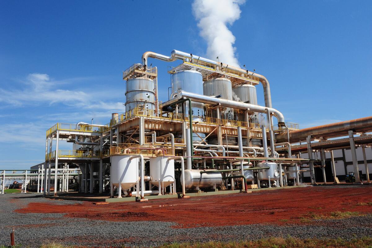 El sector de biocombustibles no descarta despidos