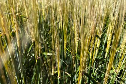 El sector enfrenta un escenario condicionado por la política económica