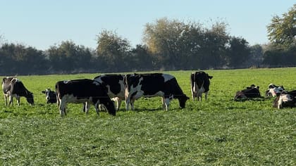 El sector espera una recuperación de las exportaciones al llegar al pico estacional de producción