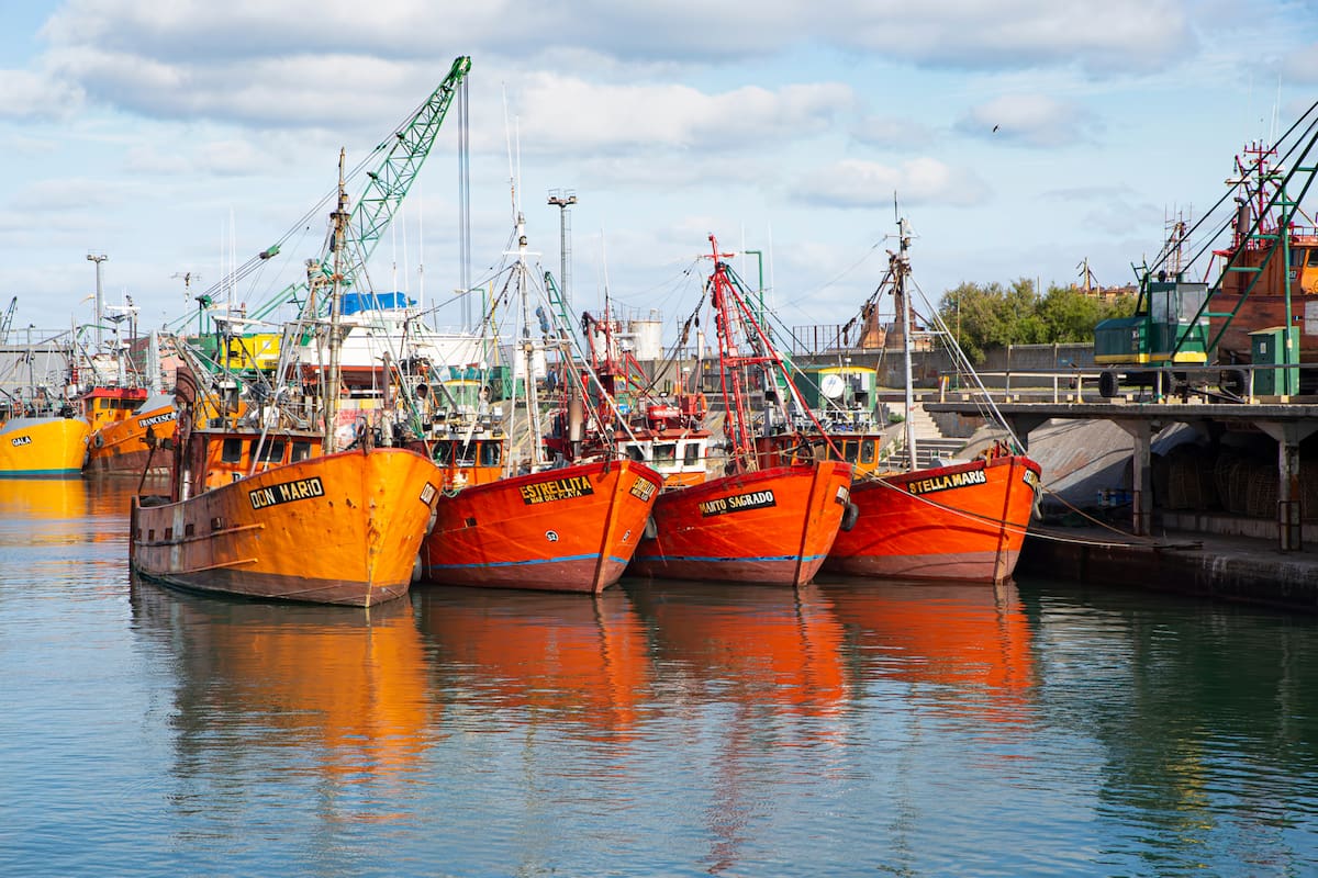 El sector pesquero pide una reducción de las retenciones a la actividad