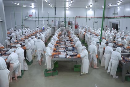 El sector pesquero presiona por retenciones cero