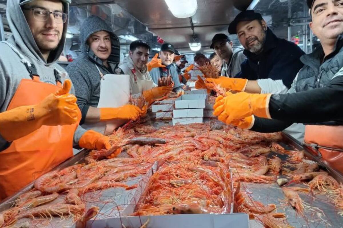 El sector pesquero tuvo una caída en las exportaciones en 2023