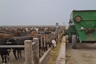 Advierten que un requisito del RIMI deja afuera inversiones del campo
