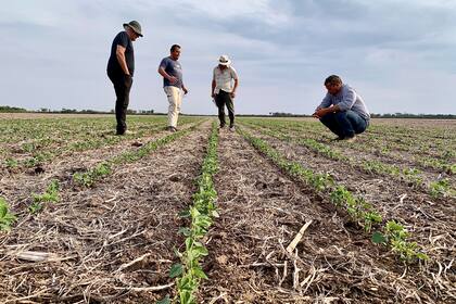 El sector reclama por el fin de las retenciones