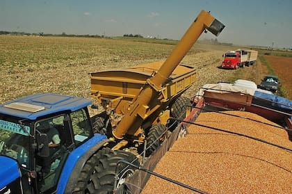 El sector requiere una baja de costos