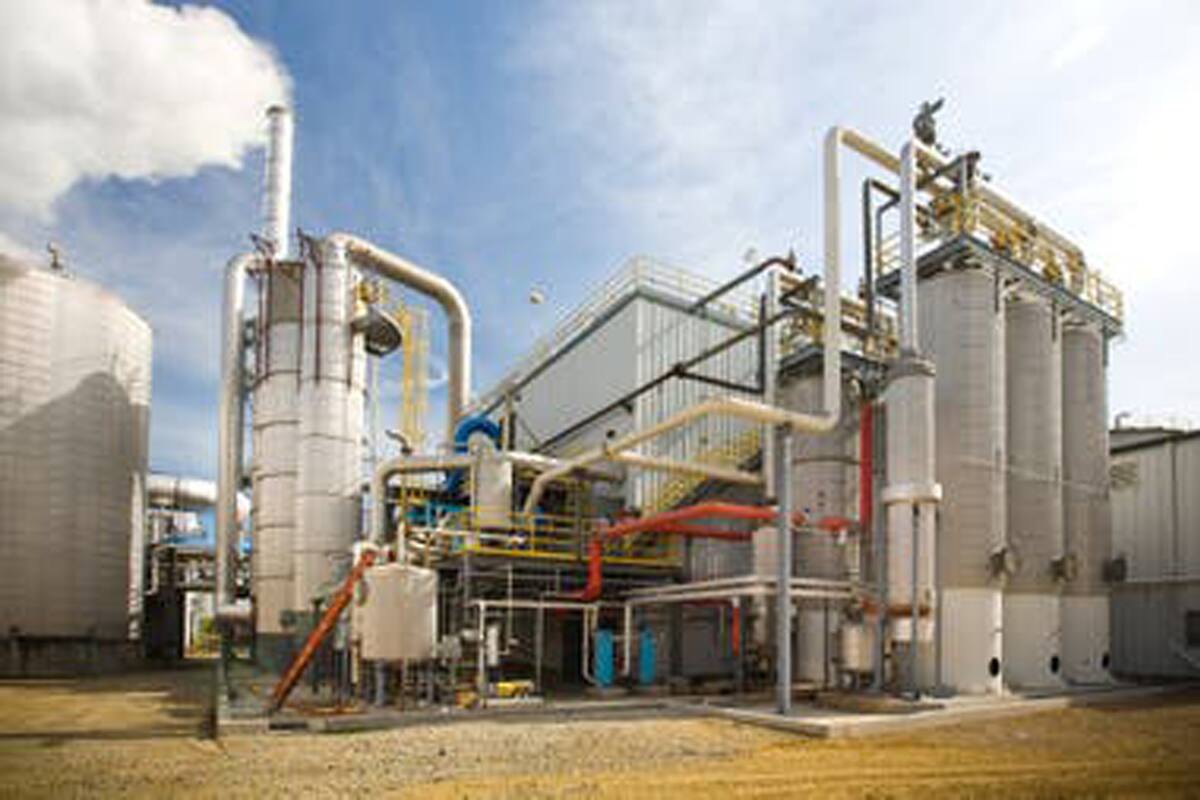 El sector se enfrenta al efecto coronavirus, a la caída de los precios internacionales y las trabas arancelarias, entre otros desafíos