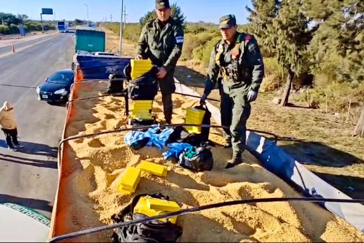 El secuestro de más de 82 kilos de cocaína ocultos en un cargamento de harina de soja, en Santiago del Estero