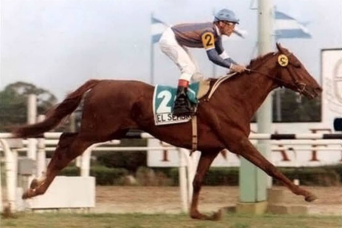 El Sembrador fue un campeón que dejó una huella en 1994 y 1995 en las pistas de San Isidro y llevó su épica a Brasil.