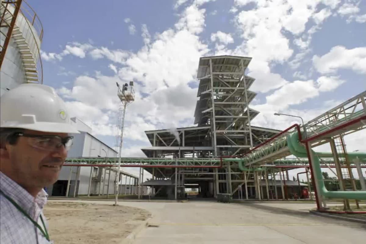 El Senado aprobó el nuevo marco de producción de biocombustibles