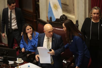 El Senado aprobó la Ley Bases con el RIGi