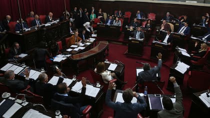 El Senado bonaerense aprobó el límite a las reelecciones de intendentes