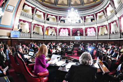 El Senado bonaerense en plena sesión