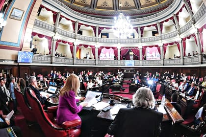 El Senado bonaerense, la Cámara que debe darles el visto bueno a los nuevos jueces